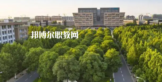 2023山東十大?？茖W校名單及排行榜