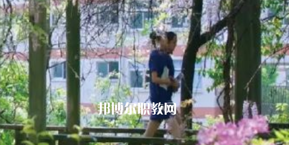 2023金華市成功學(xué)校招生計(jì)劃 招生人數(shù)是多少(附要求、條件、對(duì)象)
