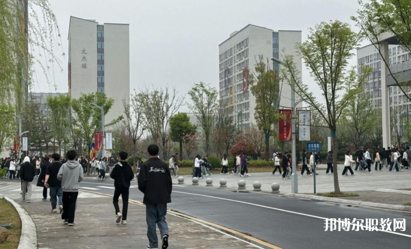 2025合肥技師學(xué)院招生計(jì)劃 招生人數(shù)是多少(附要求、條件、對象)